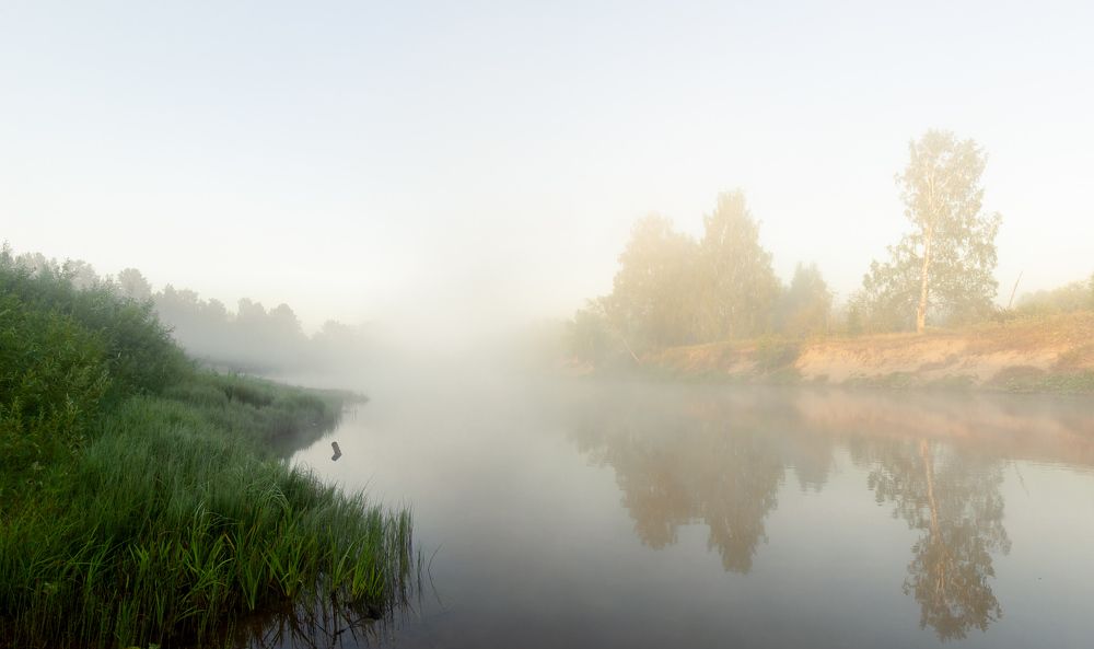 Фотография автора Ольга Бонина