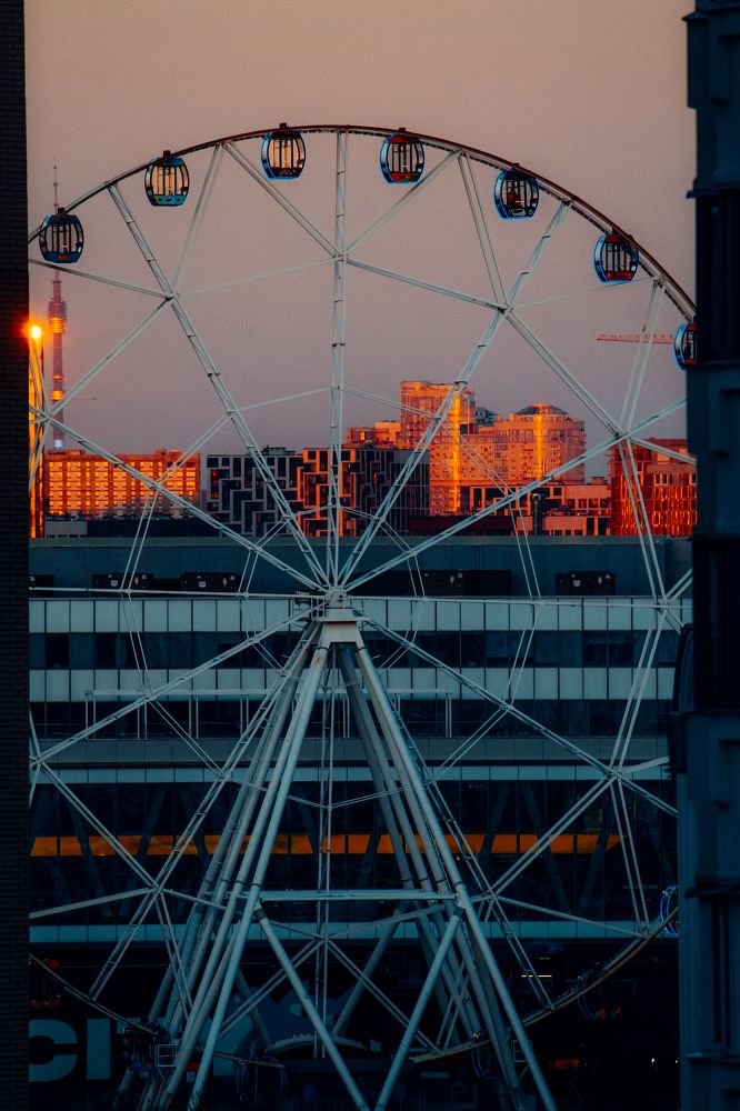 Photograph by Svetlana Karmova