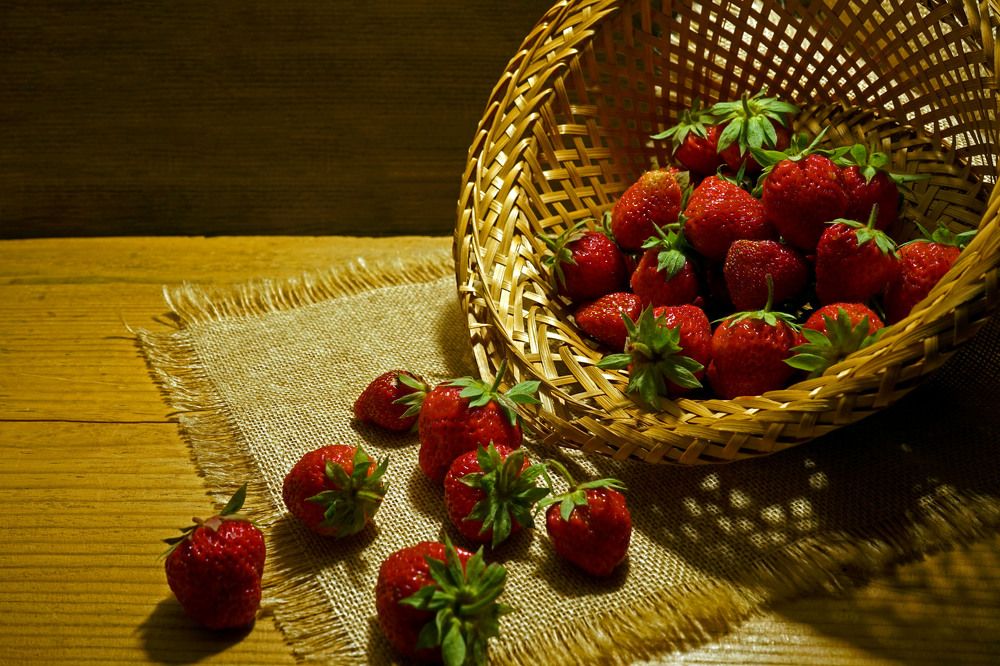 Photograph by Tatiana Glazkova