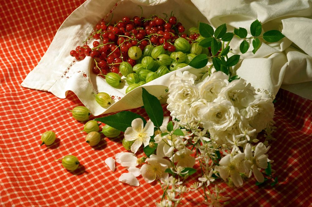 Photograph by Tatiana Glazkova