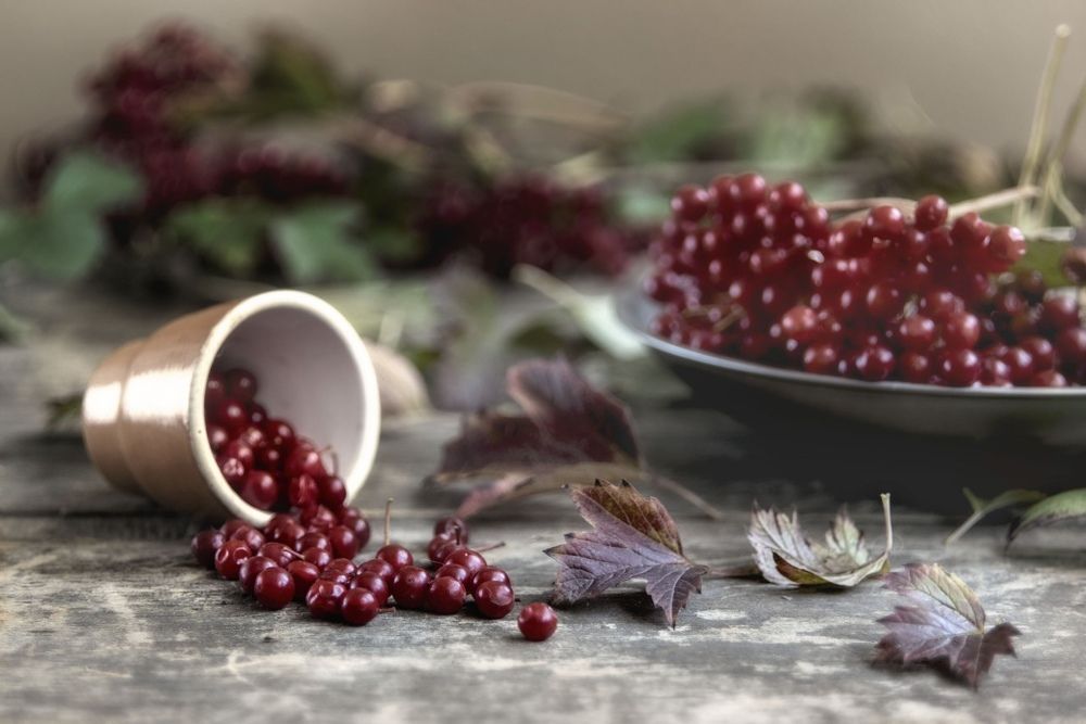 Photograph by Инна Грицик