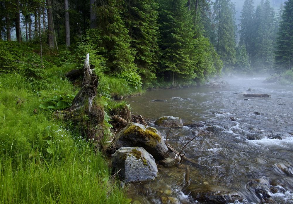 Photograph by Наталья Пирогова