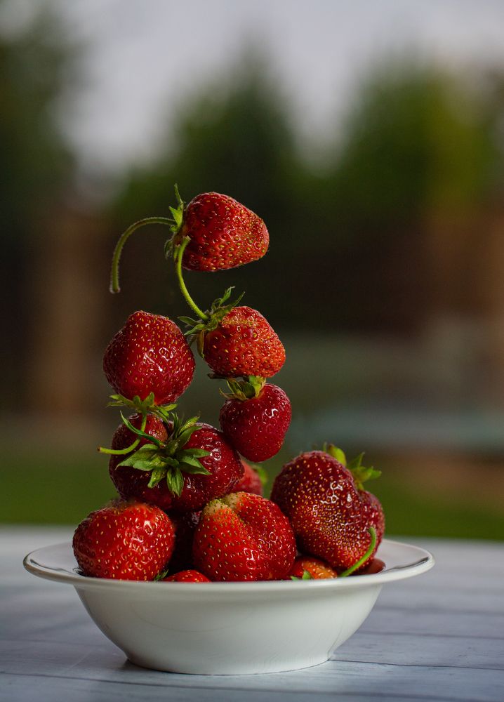 Photograph by Tatiana Mishchenko