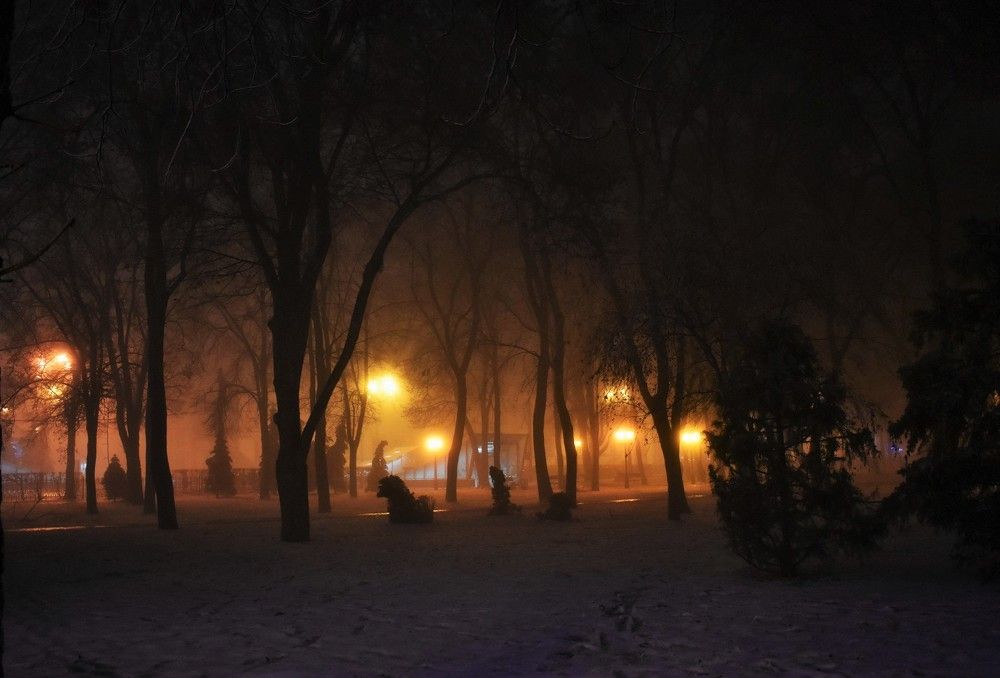 Photograph by Олександр Розум