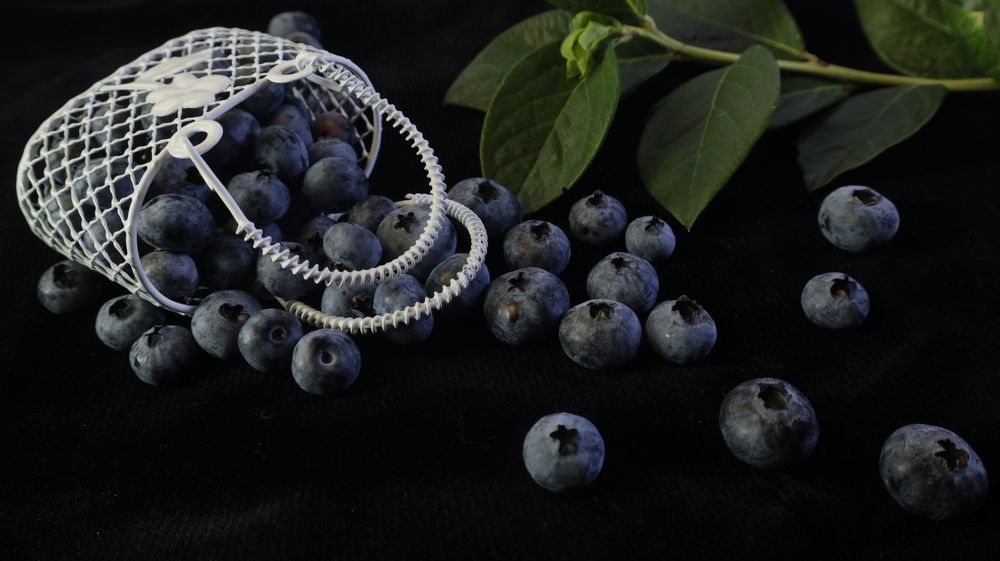 Photograph by Татьяна Маринич