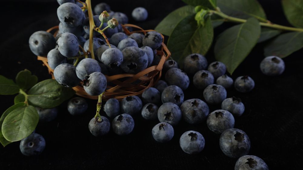 Photograph by Татьяна Маринич