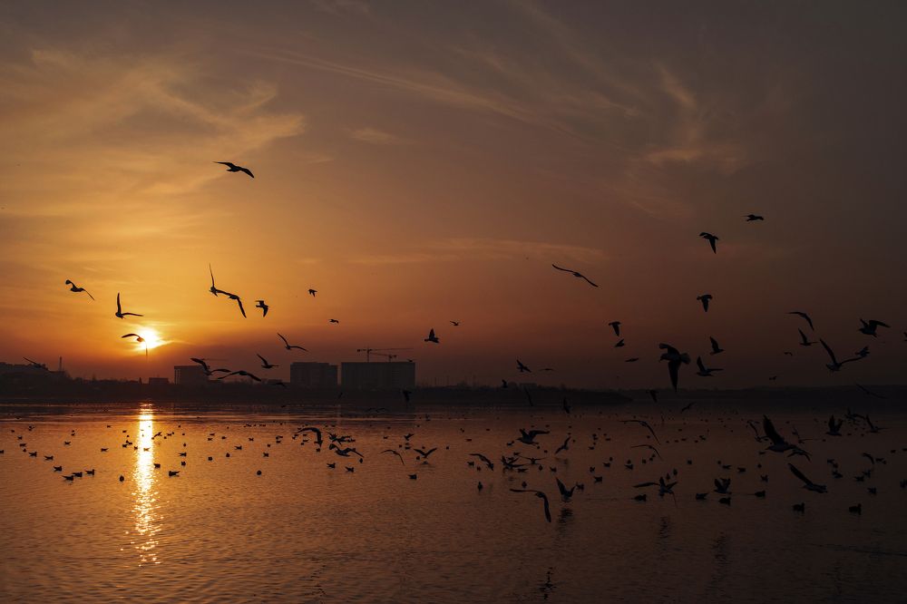 Photograph by George Sorin