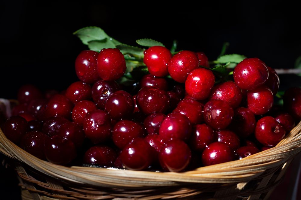 Photograph by Эльвира Коваль