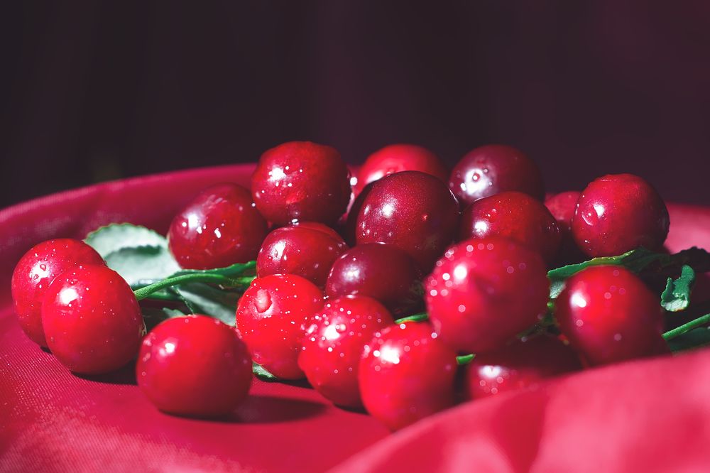 Photograph by Эльвира Коваль