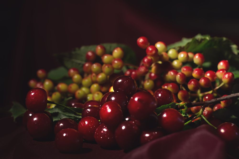 Photograph by Эльвира Коваль