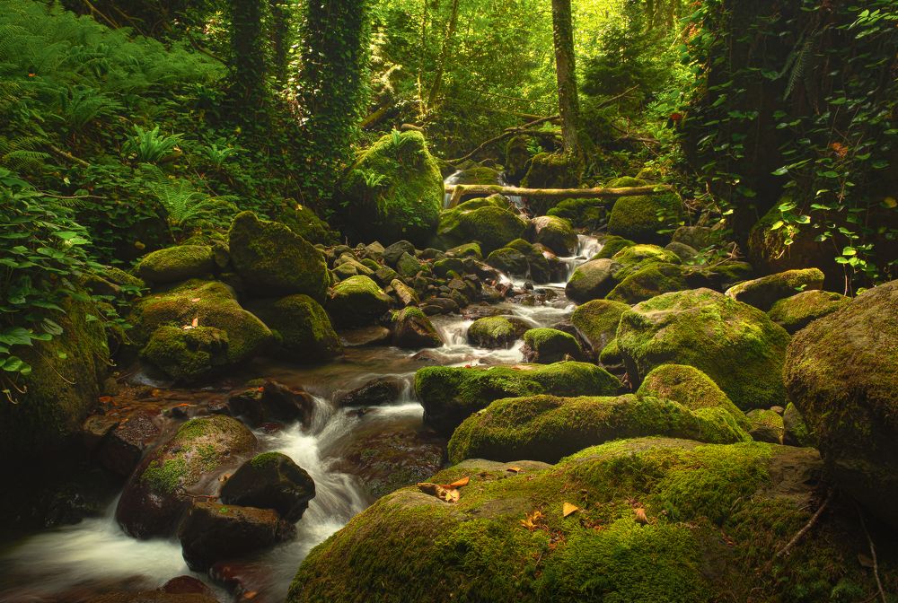 Photograph by Helen Vasilieva