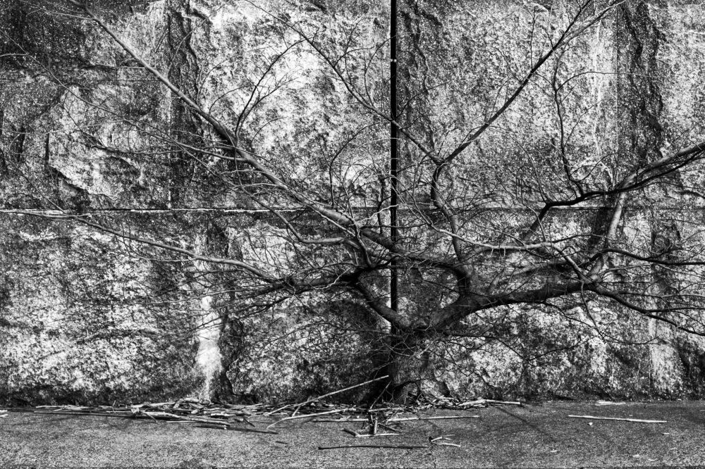 Photograph by Sonokawa Jun