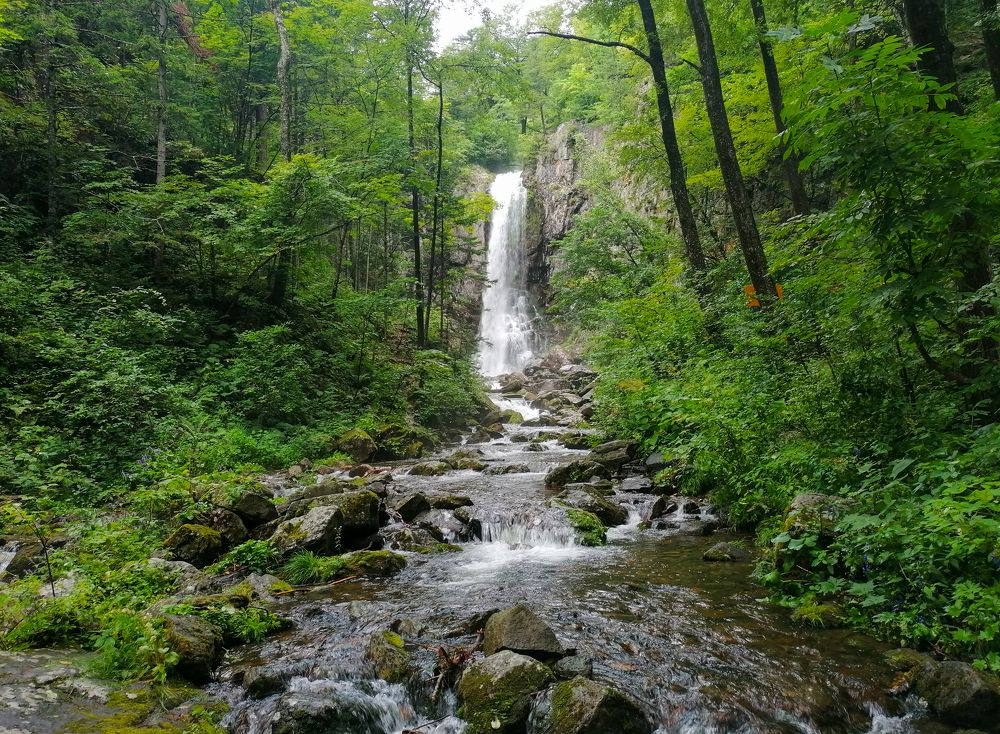 Звезда Приморья