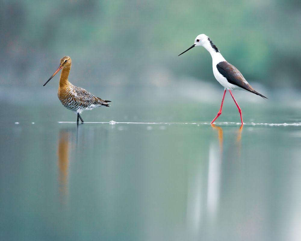 Stalking the wrong boyfriend.