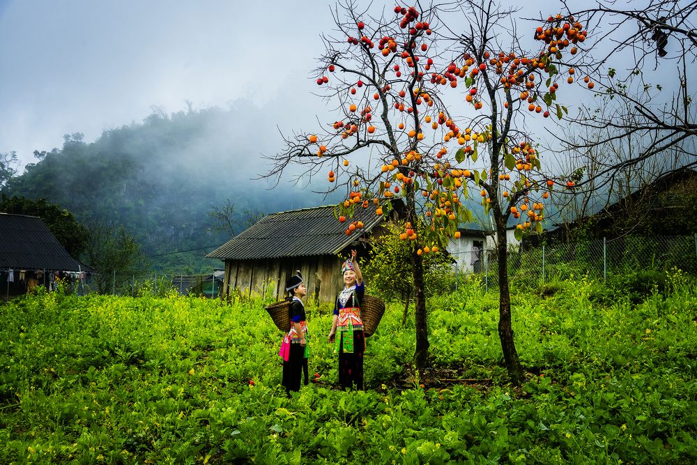 Photograph by Hồ Xuân Thành