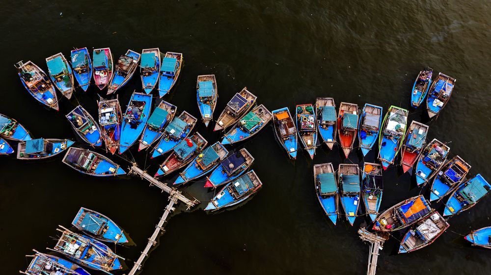 Photograph by Hồ Xuân Thành