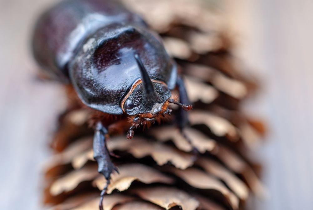 Photograph by Виталий Маслов