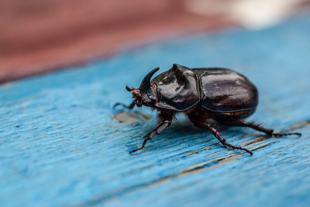 Photograph by Виталий Маслов