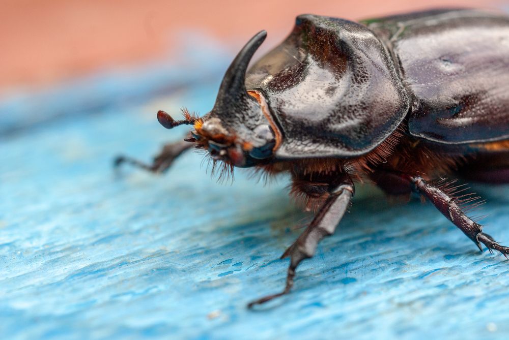 Photograph by Виталий Маслов