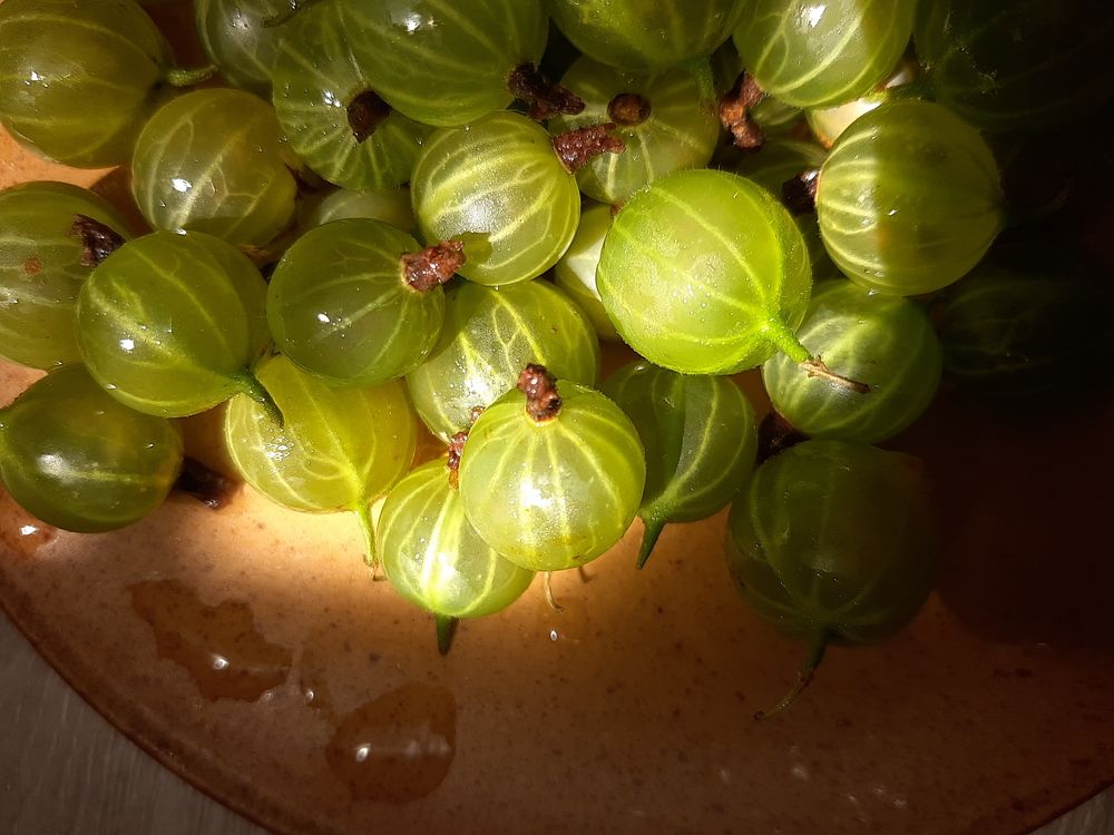 Photograph by Виктория Стецко