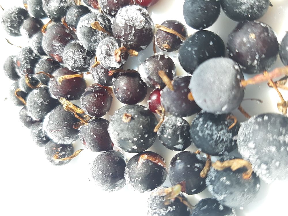 Photograph by Виктория Стецко