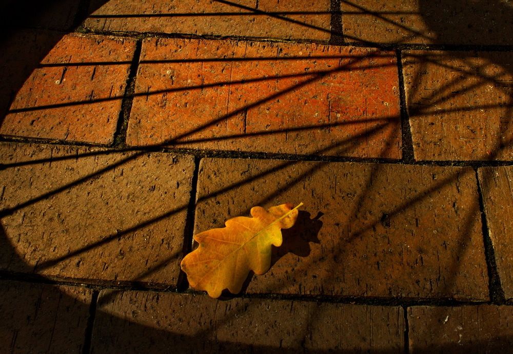 Виртуальные препятствия