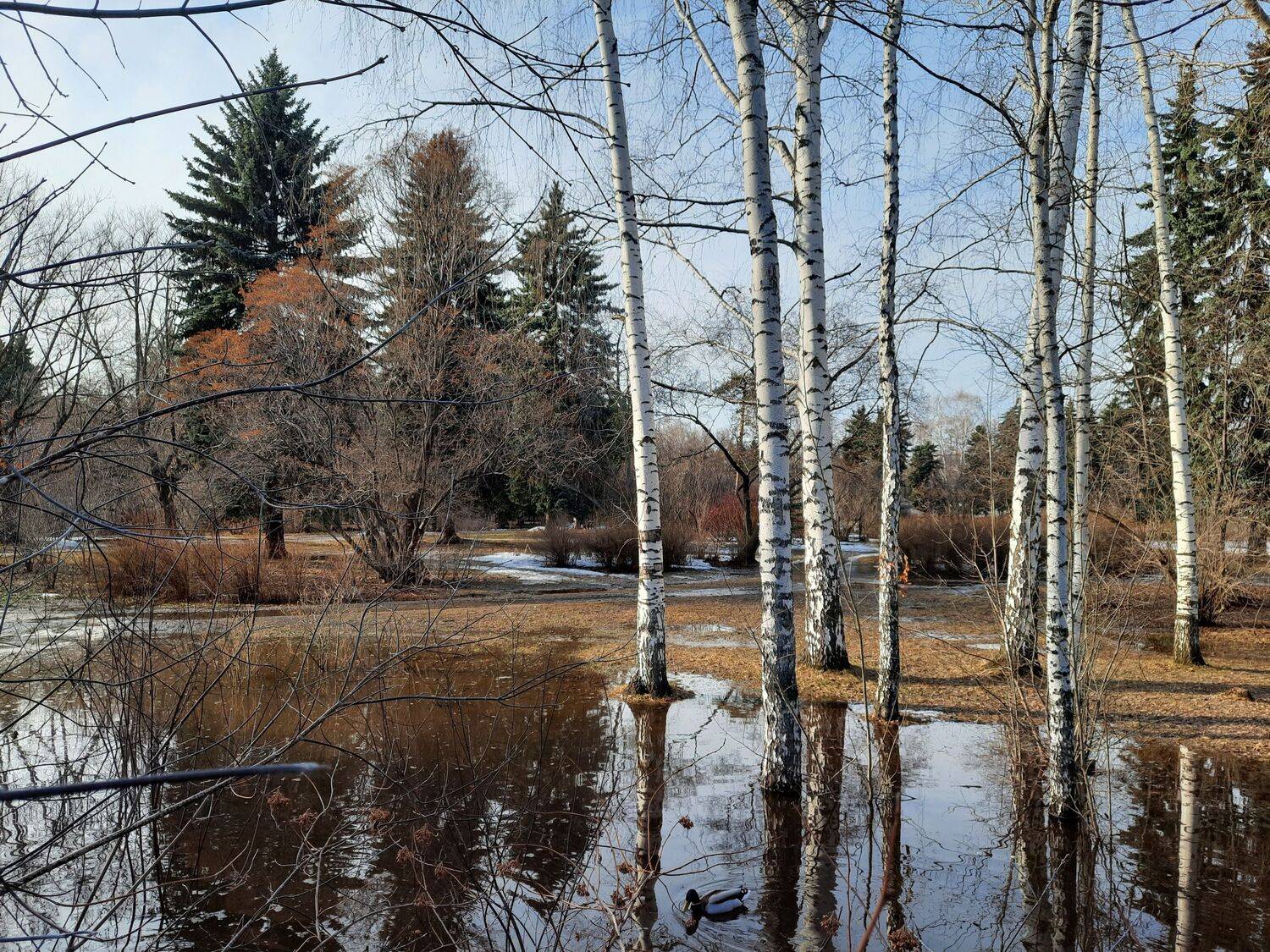 Талая вода