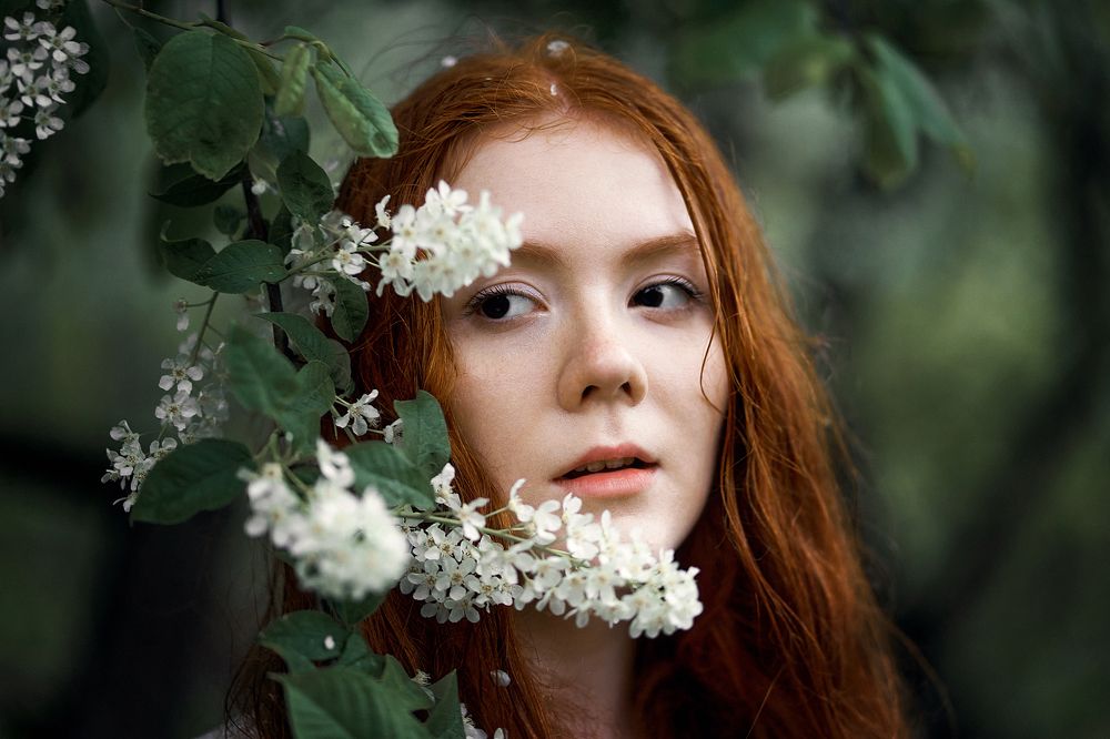 Photograph by Алексей Андреев