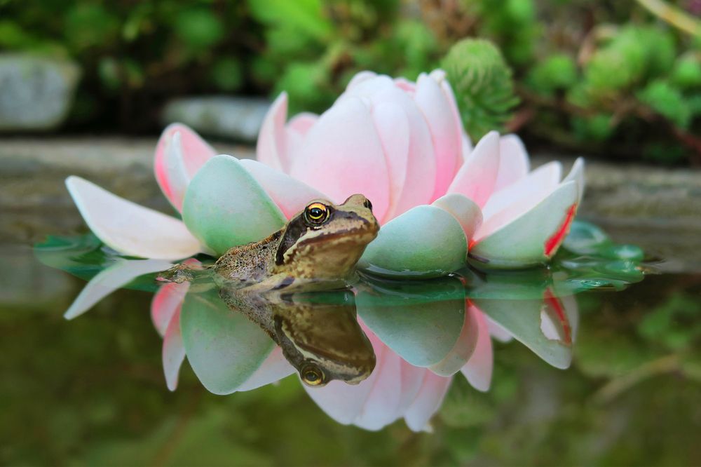 Photograph by Константин Юрченко