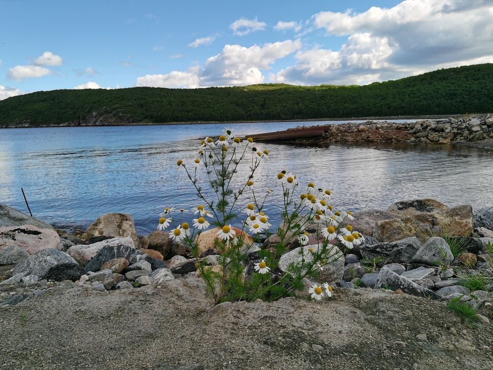 Природа Кольского полуострова