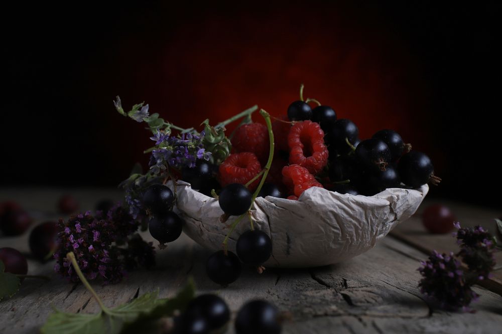 Photograph by ALBERT