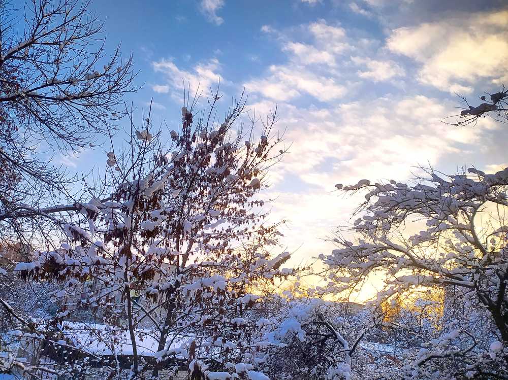 Зимний вечер