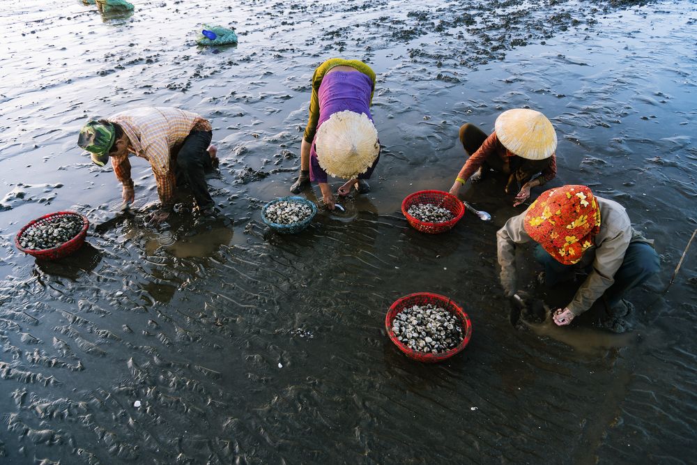 Photograph by Hồ Xuân Thành