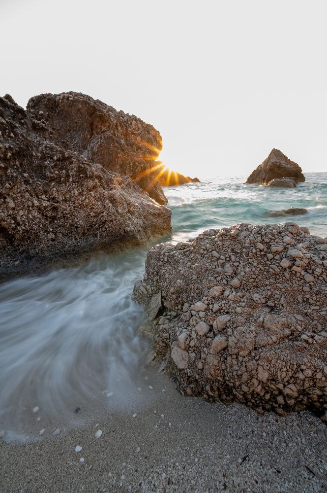 Photograph by Branislav Andjelkovic