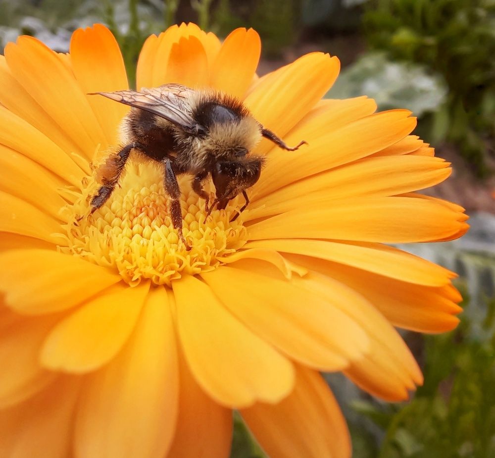 Photograph by Ольга Шаньгина