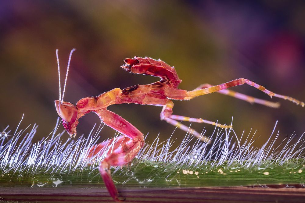 Photograph by Việt Hưng Bùi