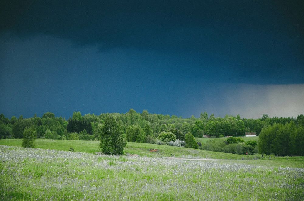 Photograph by Anzela Spiridonova