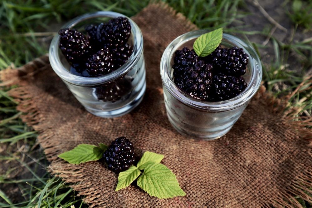 Photograph by Наталья Анцева