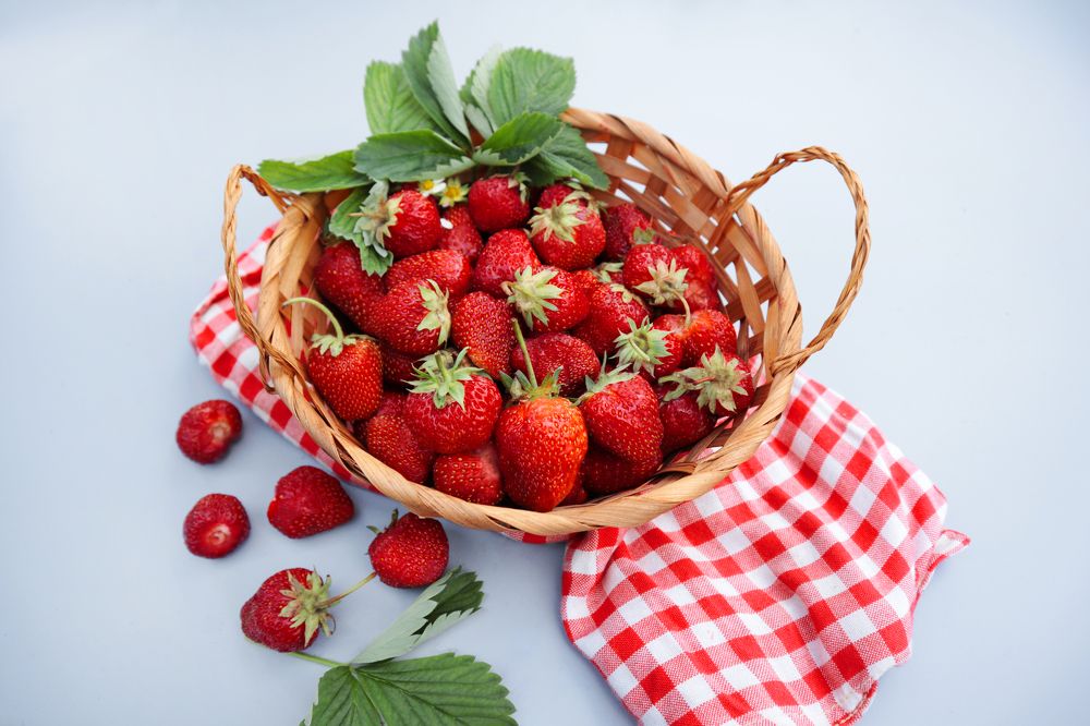 Photograph by Наталья Анцева