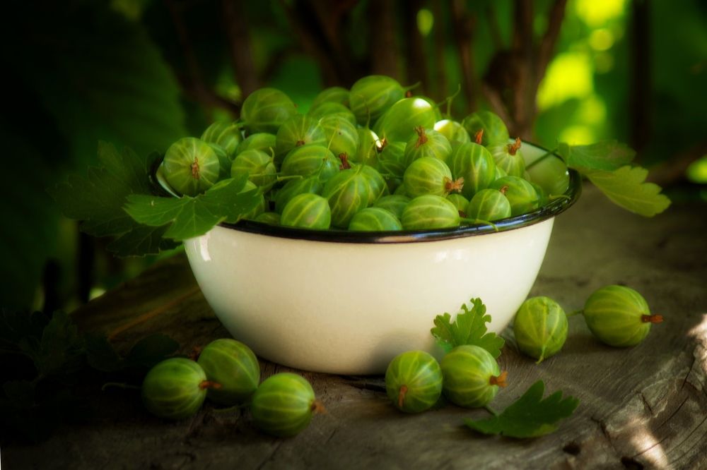 Photograph by Natalia Shilova