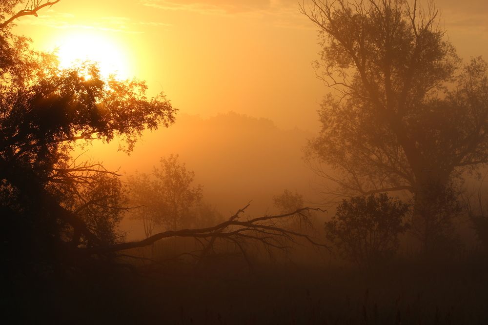 Рассвет в  Хоперскои заповеднике