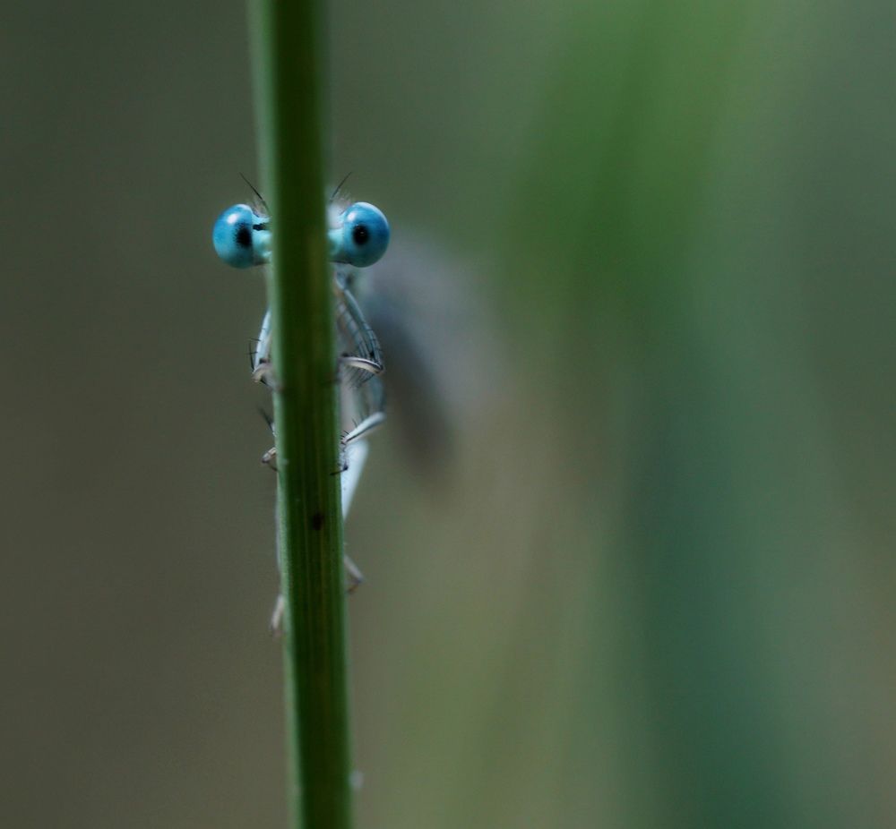 Photograph by Андрей Шартов