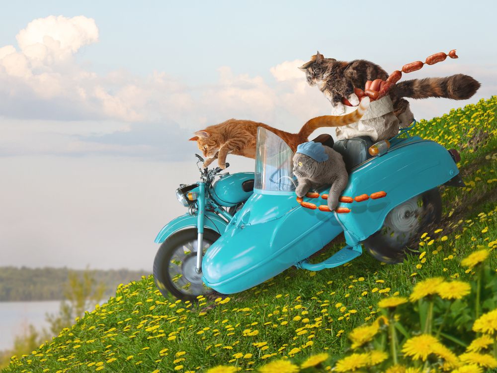 Photograph by Людмила Селянинова