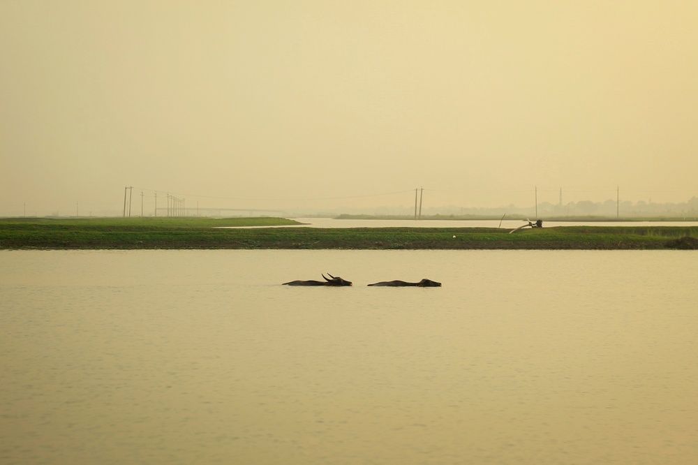Photograph by SF Taif