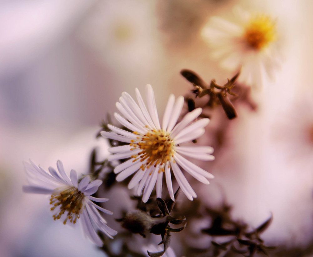 Photograph by Elitza Petkova