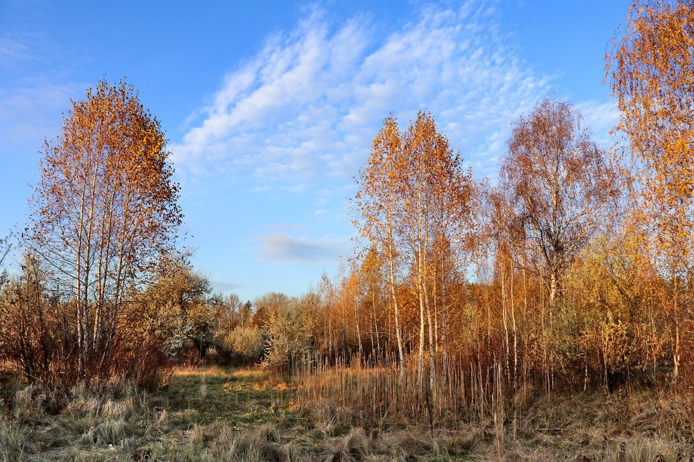Осень, - перемен восемь.