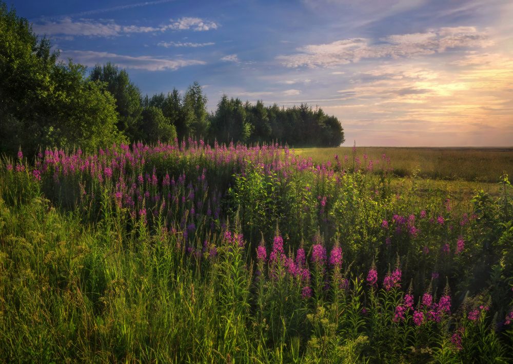 Photograph by Марина Ческис