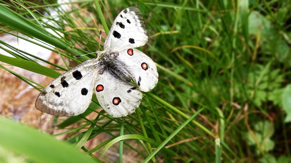 Photograph by Наталья Баранова