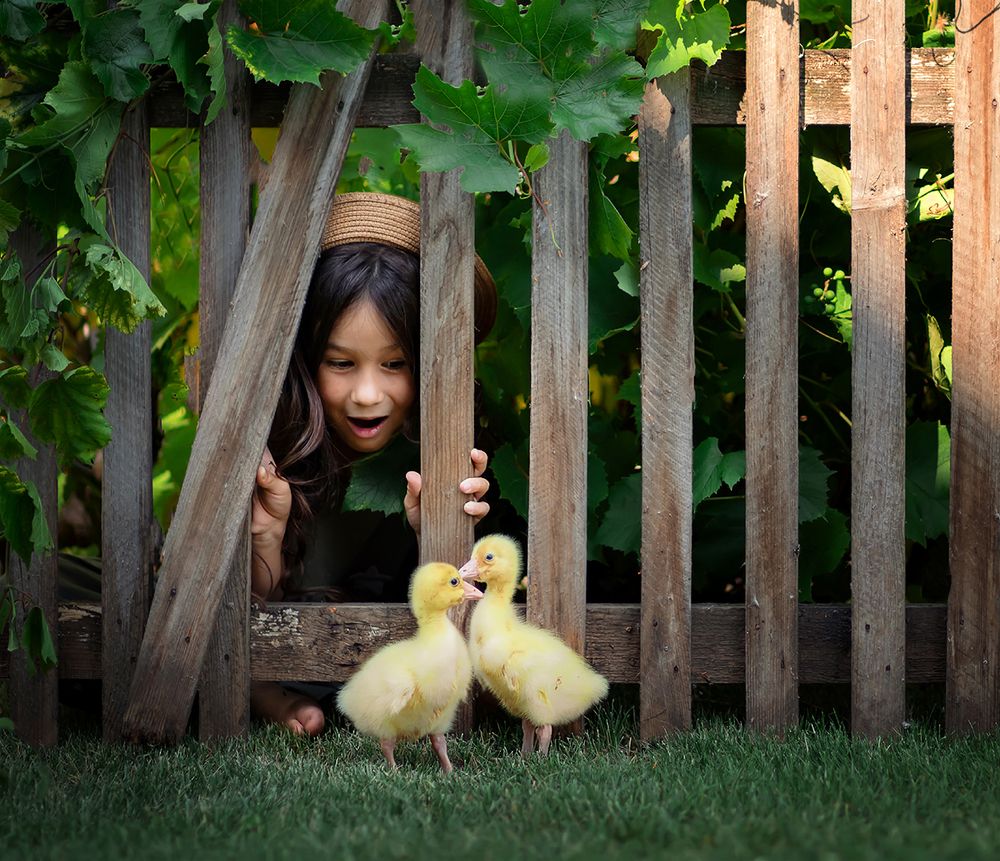 Photograph by Гузель Султангареева