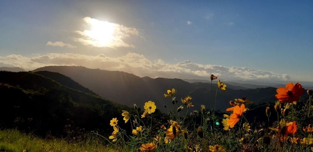 Фотография автора Paul Anton Mahinay